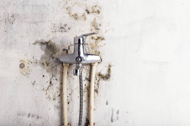 Mold Testing and Removal in Minden, NE