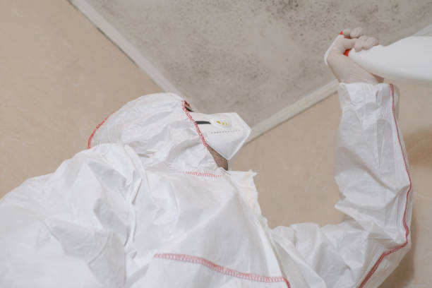 Certified Mold Removal in Minden, NE