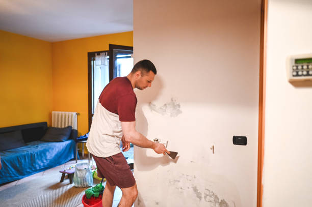Best Commercial Mold Removal  in Minden, NE