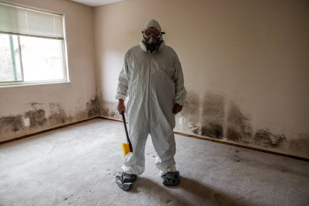 Mold Removal and Inspection in Minden, NE